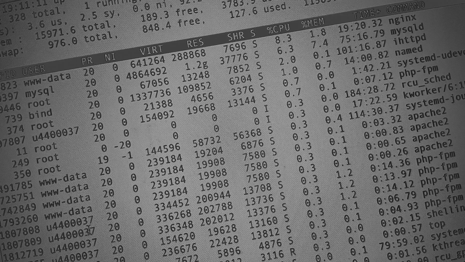 Настройка сервера в Славянске-на-Кубани