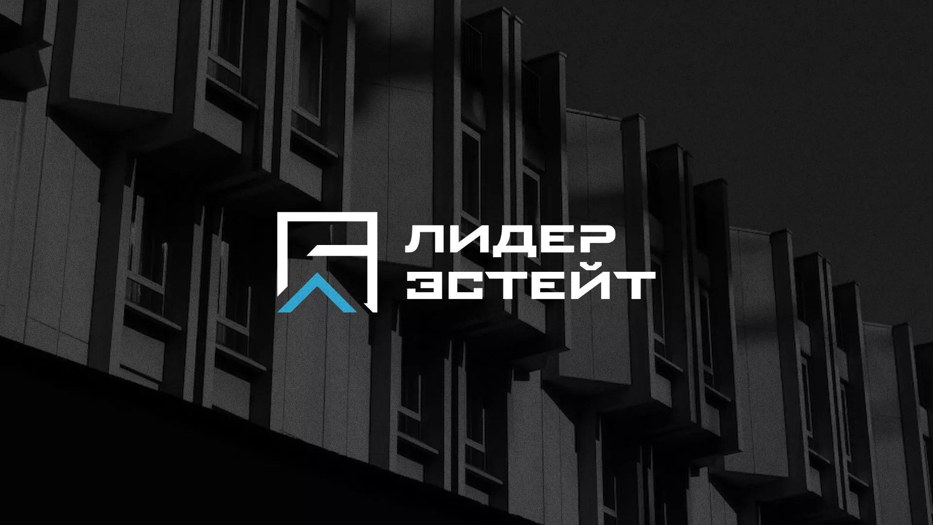 Разработка логотипа агентства недвижимости «Лидер Эстейт» в Славянске-на-Кубани